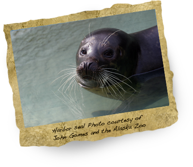 Maine (399x345), Png Download