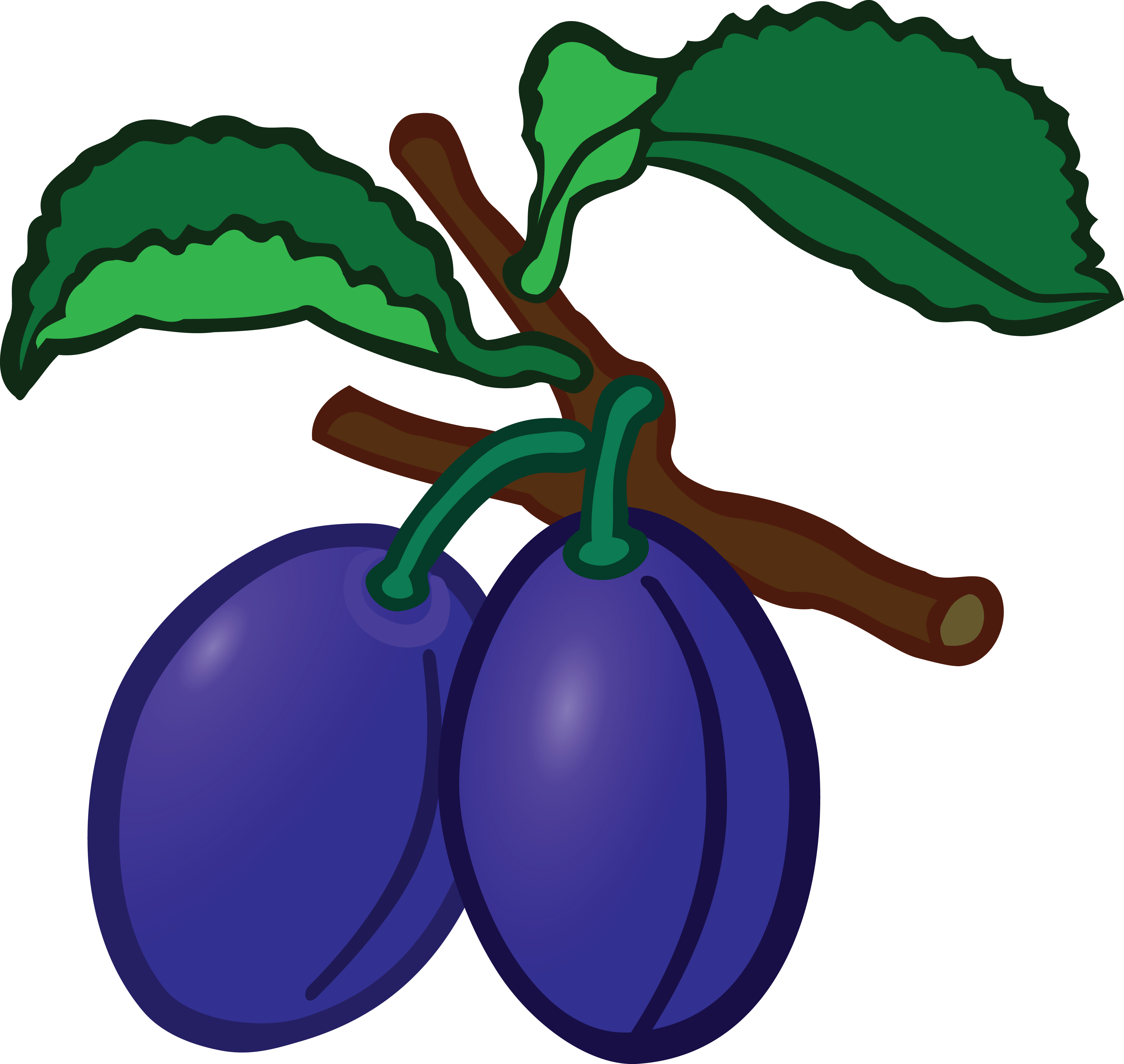 , , - Plum Clipart Png (4000x3785), Png Download