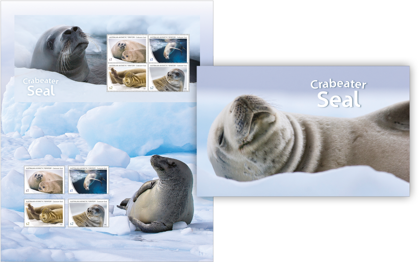 Stamp Pack Stamp Pack - Crabeater Seal (970x545), Png Download