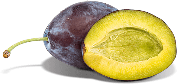 Photograph (645x430), Png Download