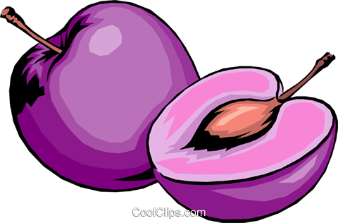 Sliced Plums Royalty Free Vector Clip Art Illustration - Purple Fruits Clip Art (480x316), Png Download