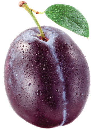 Plums - Single Plum (335x469), Png Download