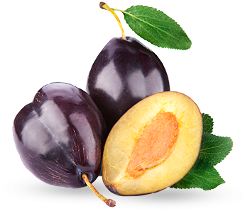 Plum - Слива В Пнг (430x420), Png Download