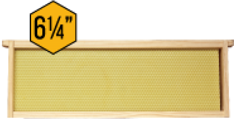 Assembled Frames 6 1/4 - Mann Lake 6 1/4" Assembled Beehive Frames With Waxed (500x500), Png Download