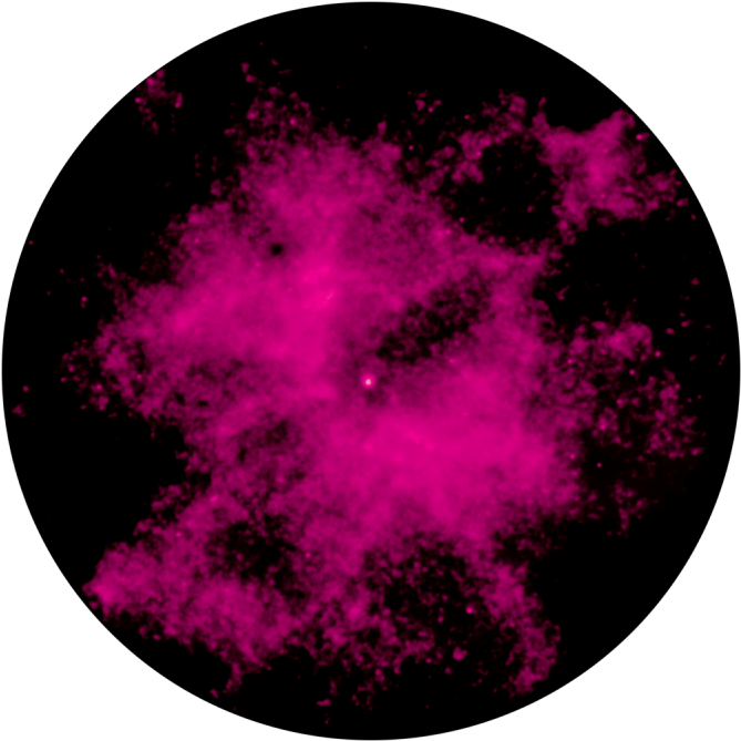 Hot Stars - Hottest Star (800x800), Png Download