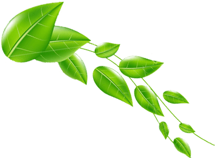 Daun 4 Header - Daun 4 Header Png (438x323), Png Download