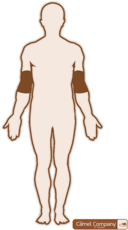 Camel Heal Joint Support - Camel (318x480), Png Download