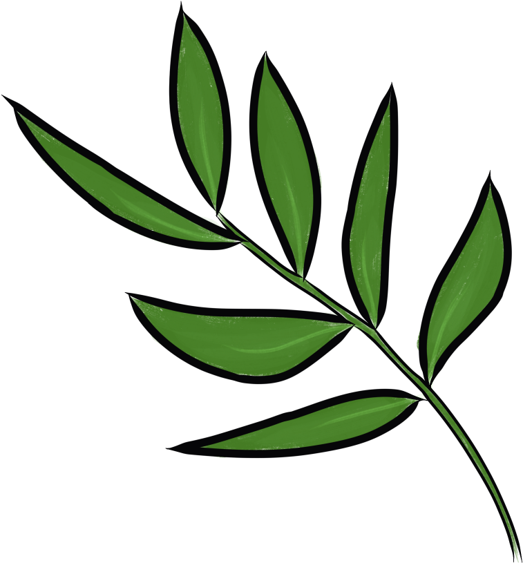 Daun Kesum - Vietnamese Coriander (1024x1024), Png Download