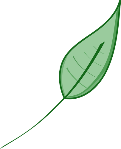 Sage Tea Referred To As Apocalyptic Potion Is Somewhat - صور اوراق شجر رسم (406x500), Png Download