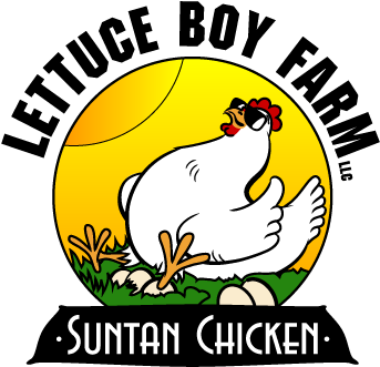 Logo - Lettuce Boy (350x350), Png Download