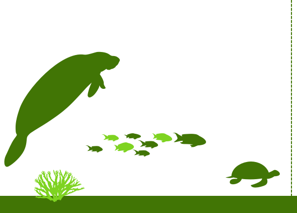 Water Water - Illustration (590x422), Png Download