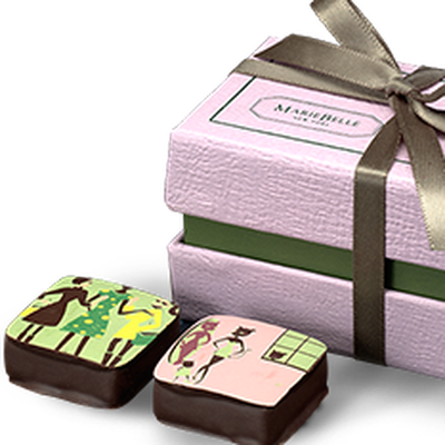 Party Favors Of Ganache - Chocolate (400x400), Png Download