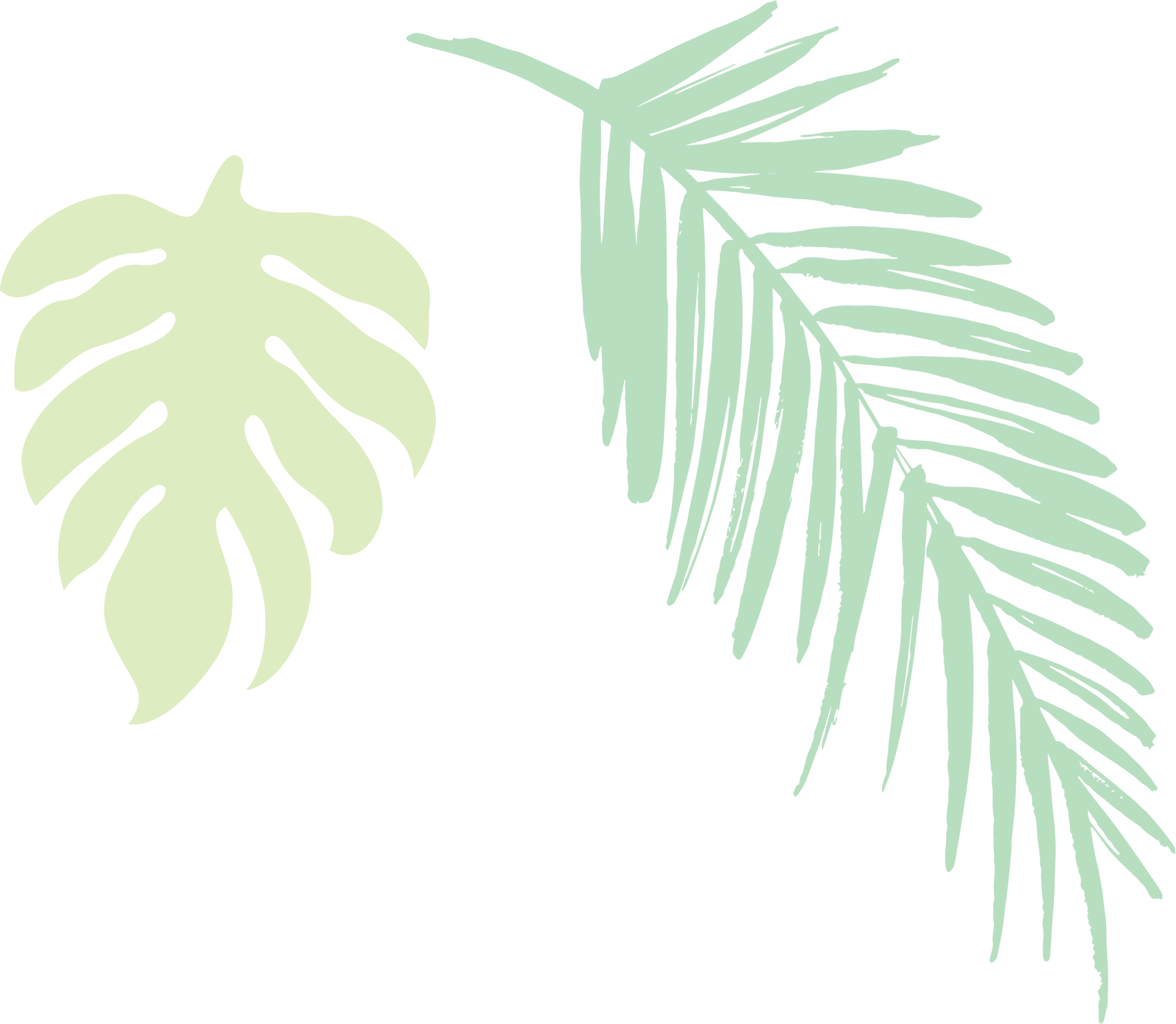 2019 Jungle Leaves Light - Darkness (2000x1742), Png Download