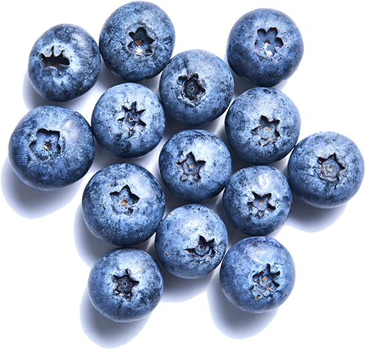 Blueberry-individuallg - Blueberry (600x588), Png Download