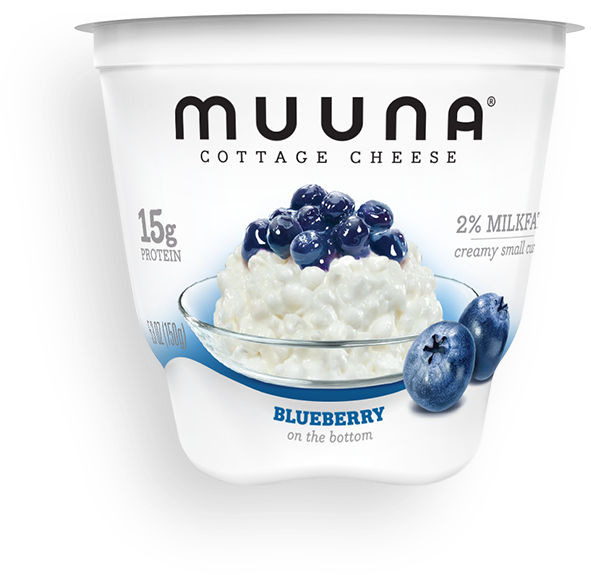 Blueberry - Muuna Cottage Cheese 16 Oz (657x574), Png Download