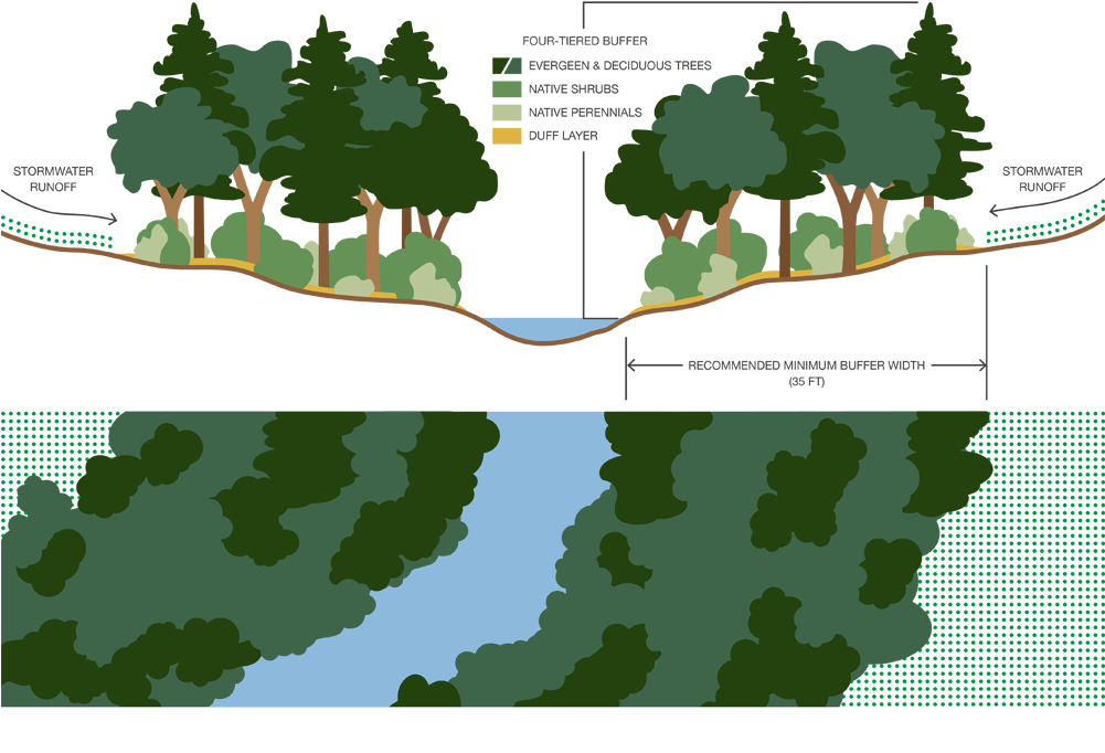 Stream Corridor Buffer S - Wetland Buffer (1000x732), Png Download
