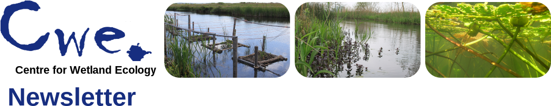 Newsletter 16 - Ecology (1089x219), Png Download