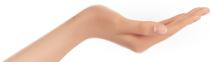 Portfolio - Transparent Open Hand Png - Free Transparent PNG Download