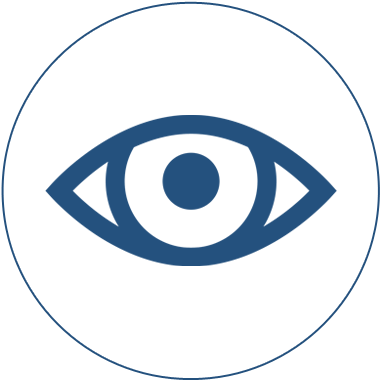 Victims And Witnessess Topic Icon - Witness Icon (400x400), Png Download