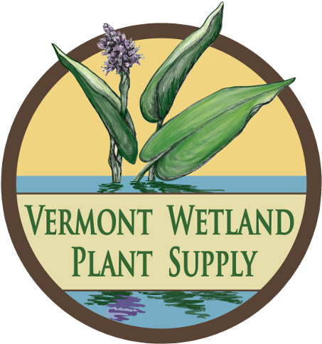 Vermont Wetland Plant Supply - Violencia Sexual (500x500), Png Download