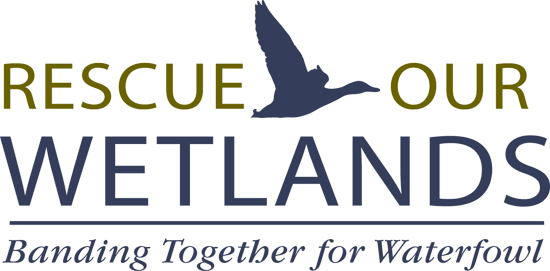 The Campaign Priority At The Heart Of Rescue Our Wetlands - Understanding Flying Weather [book] (550x271), Png Download