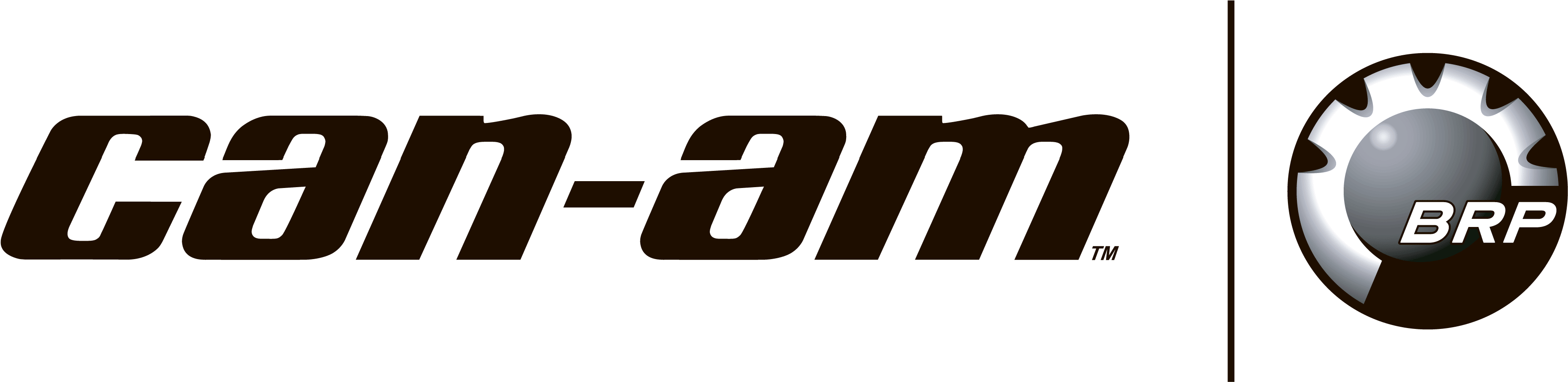 Brp Logo Can-am - Can Am Brp Logo (3800x1818), Png Download