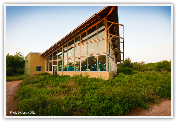 Old Hidalgo Pumphouse - Wetlands Edinburg Texas (578x404), Png Download