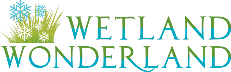 Wetland-wonderland (800x249), Png Download