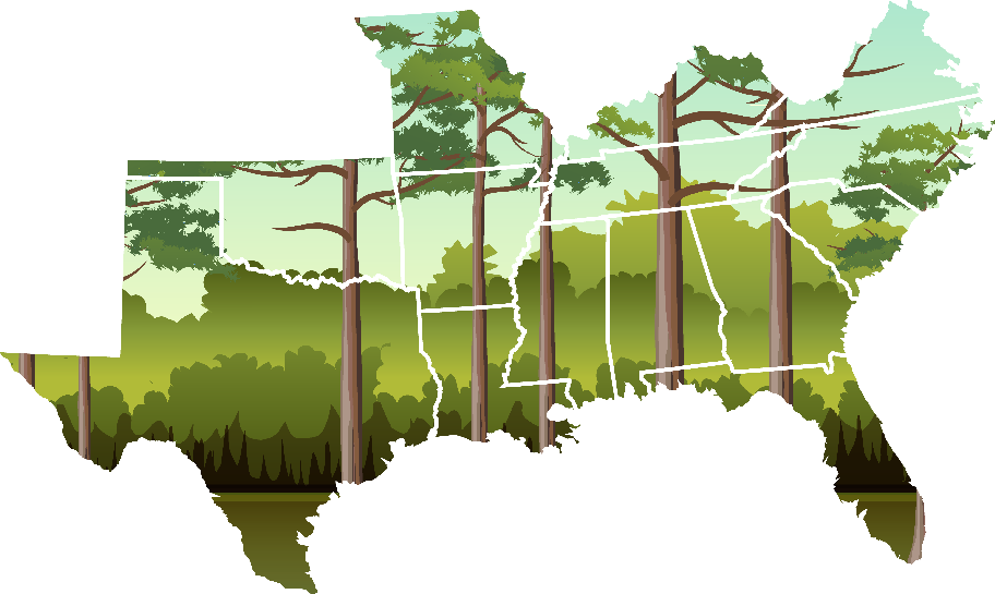 See Your State's Statistics - Tree (912x545), Png Download