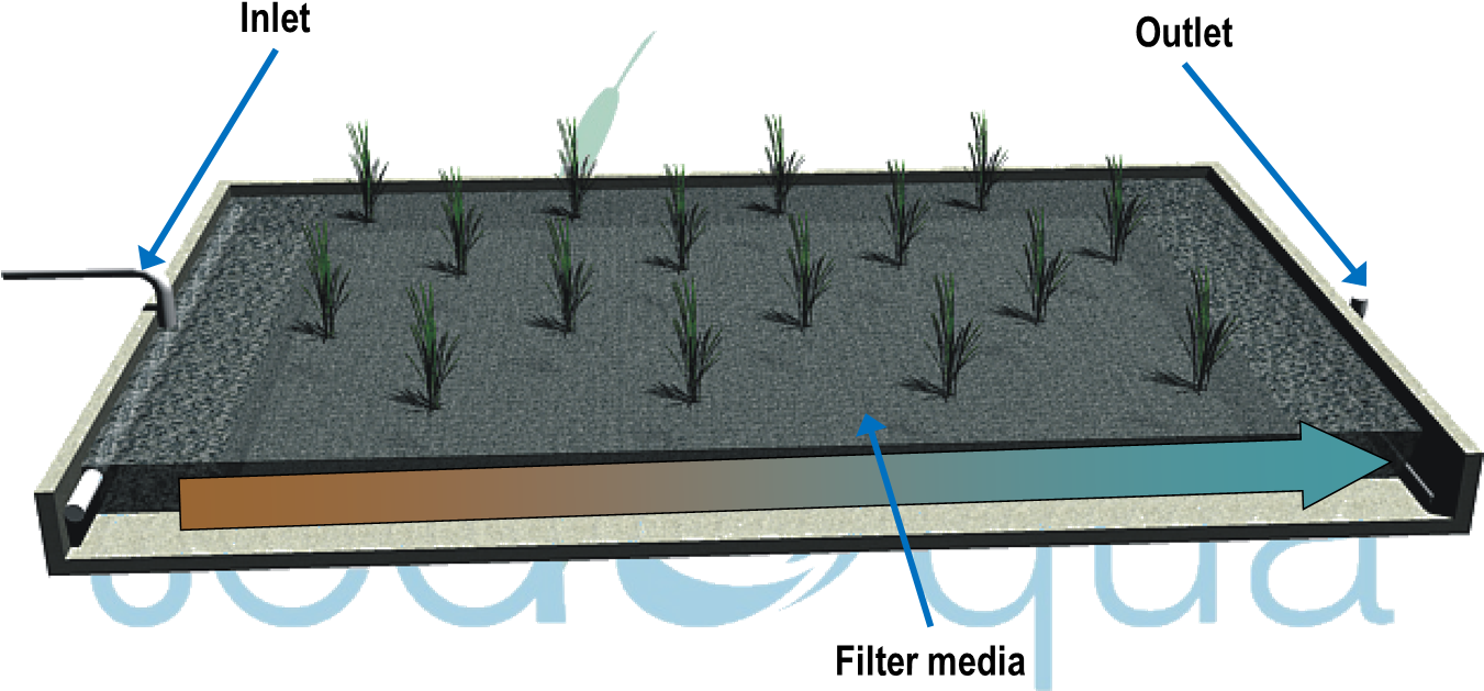 Diagram Of A Horizontal Flow Wetland - Roof (1350x667), Png Download