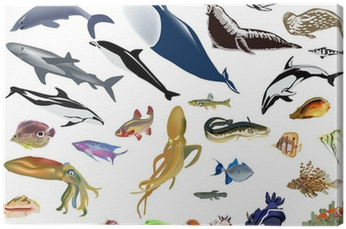 Large Set Of Color Sea Animals Canvas Print • Pixers® - Animales Del Mar A Colores (400x400), Png Download