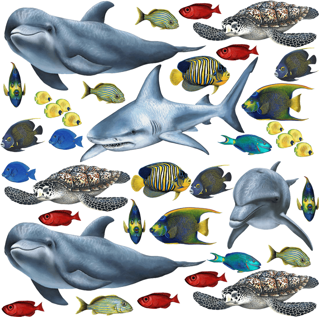 Tropical Fish And Sea Creatures Collection Economy - Fish And Sea Creatures (1024x1024), Png Download