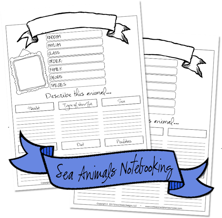 Seaanimals Notebooking4 - Document (768x768), Png Download
