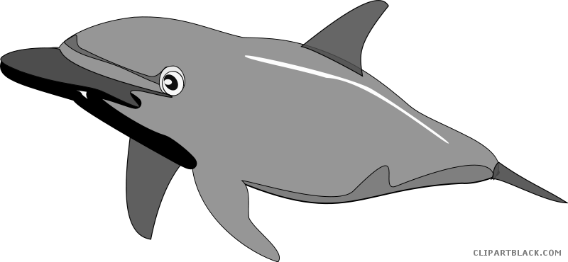 Image Transparent Library Clipart Sea Creatures - Dolphin Clip Art (800x370), Png Download