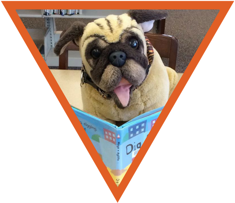 From Storytime To Steam, Summer Reading Programs To - Whitefish Bay Public Library (816x709), Png Download