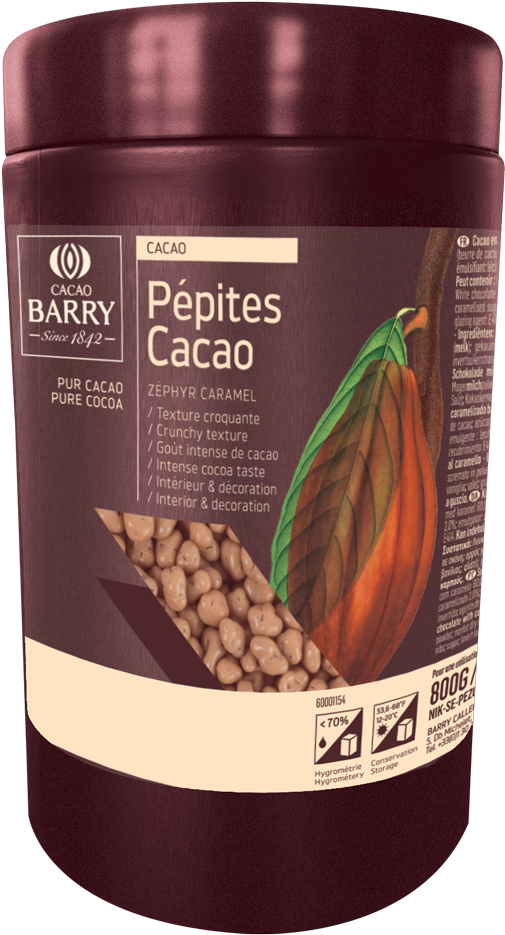 Explore More - Cacao Tree (1000x1001), Png Download