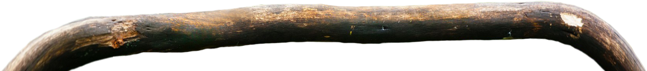 Rama De Loro - Wood (1335x600), Png Download