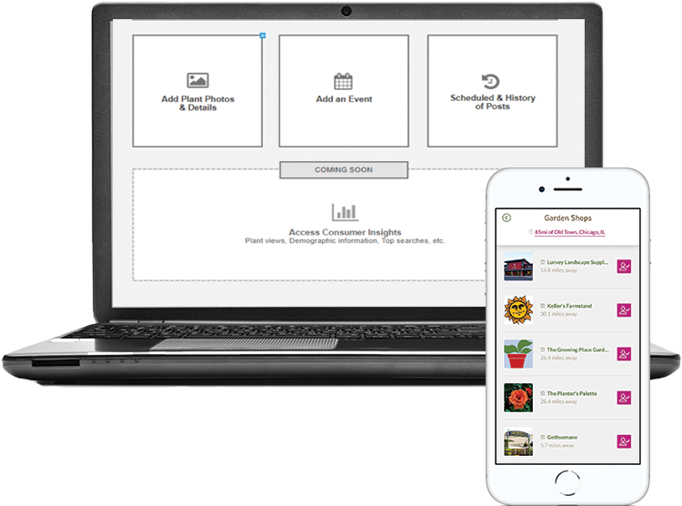 For Business - Netbook (811x614), Png Download