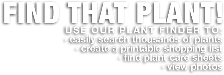 Paper (1075x482), Png Download