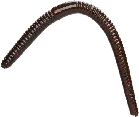 Fishing Physics Worm - Wat Tham Prathun (480x417), Png Download