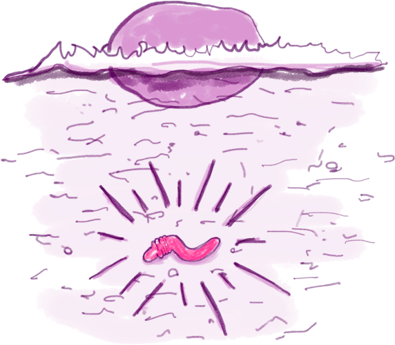 Earthworm (643x566), Png Download