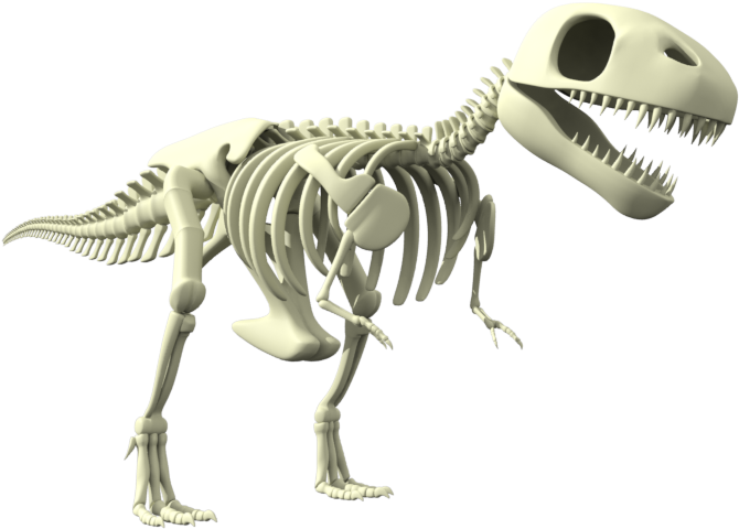 28 Jul - Tyrannosaurus (720x480), Png Download