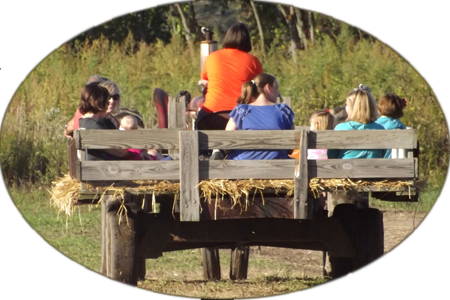 Thursdays , Friday (noon - Post Family Farm Hay Ride (450x300), Png Download