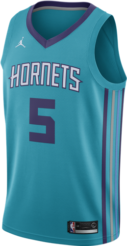Charlotte Hornets Jordan Icon Edition Swingman Men's - Charlotte Hornets Youth Jersey (500x500), Png Download