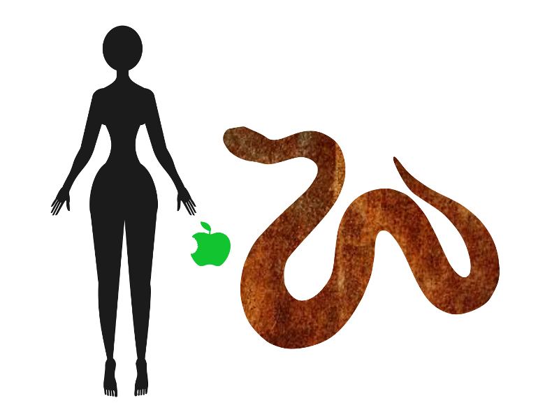 Adam And Eve Image - The Doubter(s) (800x600), Png Download