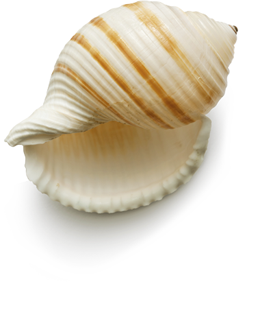 Beach Mapa - . Spf 50 (380x465), Png Download