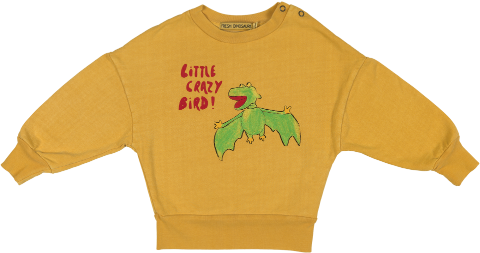 Fresh Dinosaurs Baby Sweatshirt Crazy Bird - Sweater (960x720), Png Download