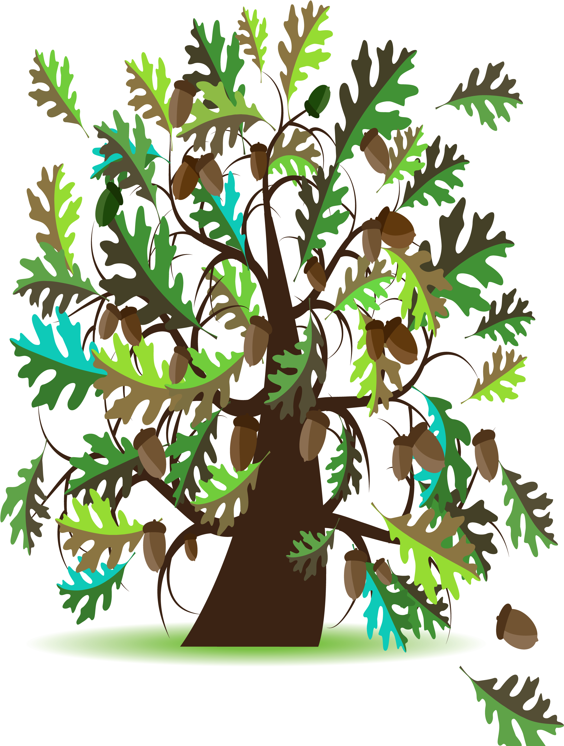 48 Pm 5159679 Oak Tree Watermark - Oak (2550x3300), Png Download