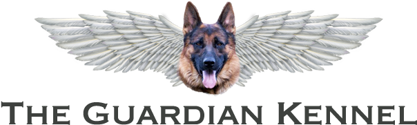 These Are Just A Few Of Our Puppies That We Have Produced - German Shepherd Dog Logo (640x228), Png Download