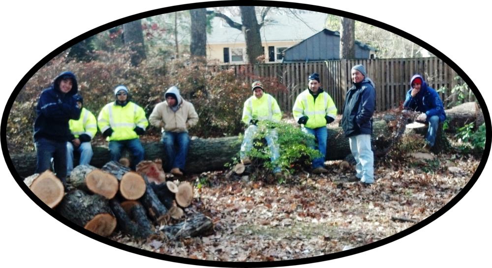 Boys And Log Pile (1000x546), Png Download